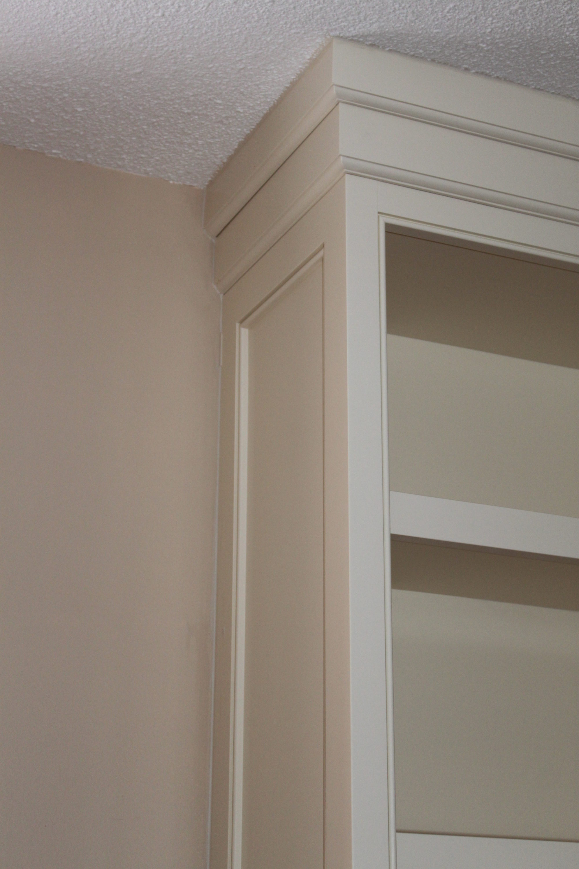 Bookcase Built-in #2